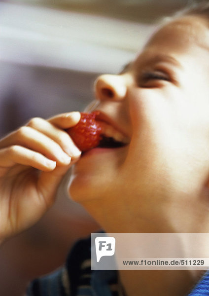 Junges Mädchen beim Erdbeeressen  lachend  Seitenansicht  Nahaufnahme.