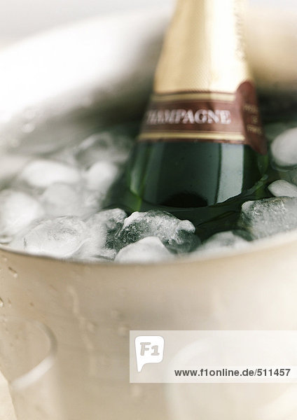 Flasche Champagner im Eiskübel  Nahaufnahme