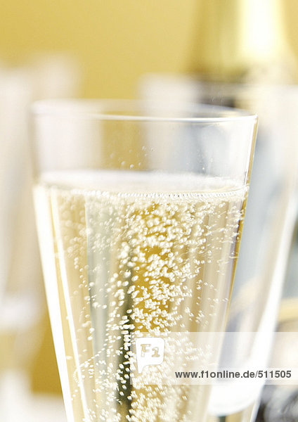 Glas Champagner,  Nahaufnahme