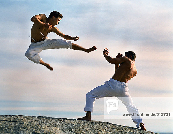 Zwei Männer üben Kampfsport  einer in der Luft.