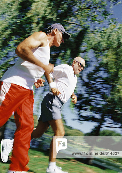 Two mature joggers in park  low angle view