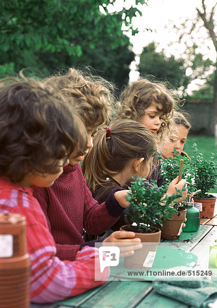 Kinder mit Topfpflanzen  im Freien  Seitenansicht