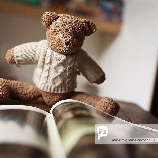 Gefüllter Teddybär beim Betrachten des Buches