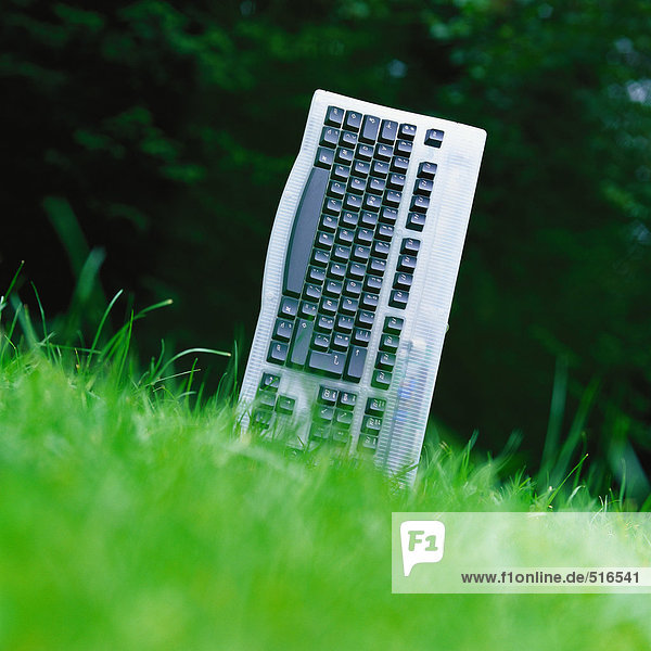 Computertastatur im Gras stehend
