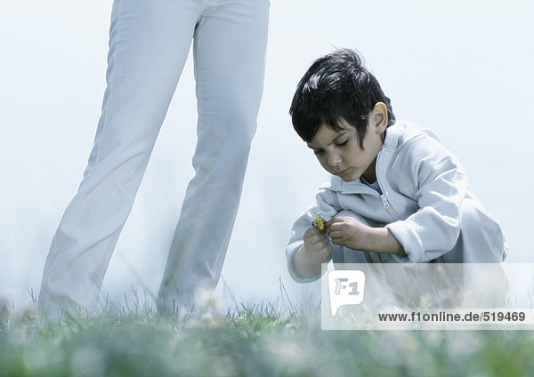 Kleiner Junge hockt auf Gras und schaut auf die Blume  neben den Beinen der Frau.