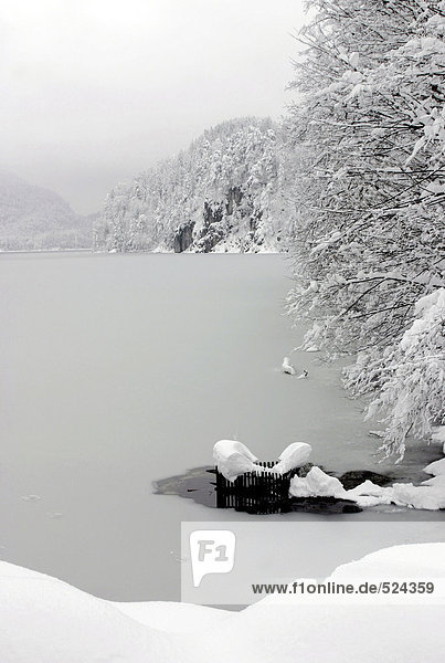 Alpsee im Hohenschwangau bei Füssen