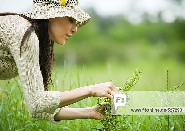 Junge Frau pflückt Blumen