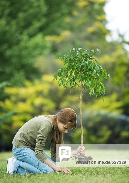 Girl planting sapling