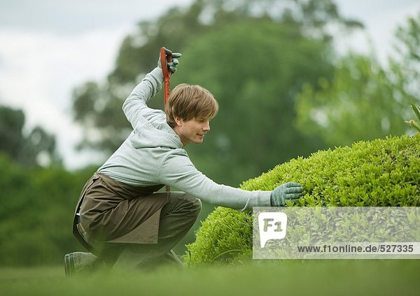 Mann bei der Gartenarbeit  bei der Inspektion von Büschen