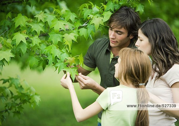 Junges Paar und Mädchen schauen gemeinsam auf Blatt am Baum