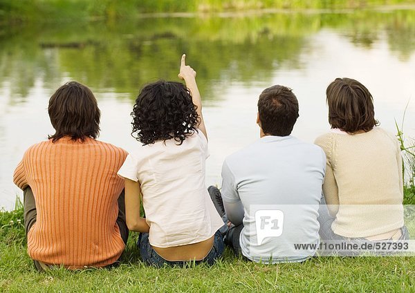 Four friends sitting near the edge of a pond  one pointing  rear view