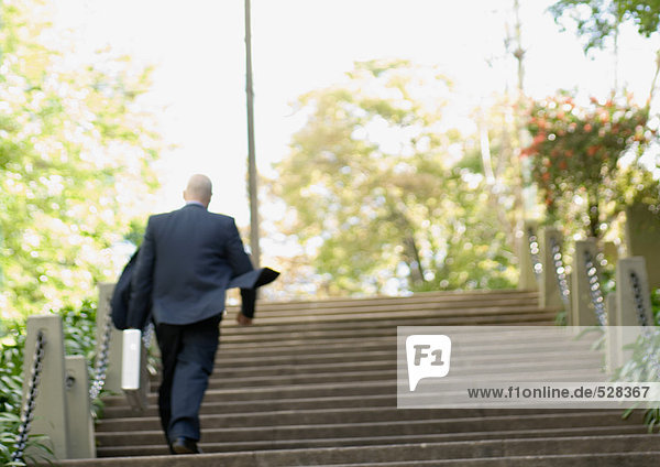 Businessman walking up stairs  rear view
