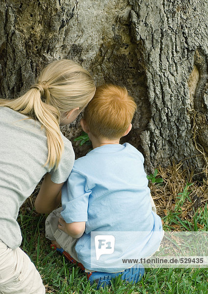 Junge und Frau schauen auf die Basis des Baumes  Rückansicht