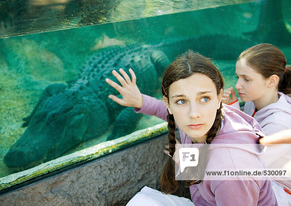 Teenager Mädchen berührt Glasaquarium mit Alligator