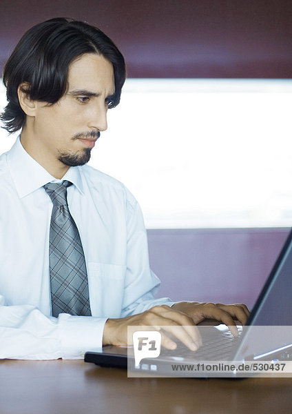 Businessman using laptop  portrait