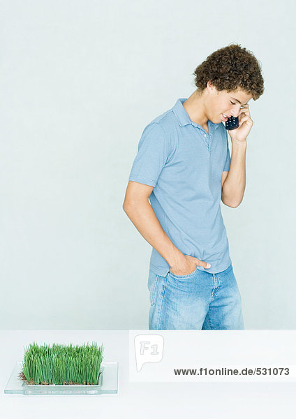 Mann steht am Telefon  Grasschale wächst im Vordergrund