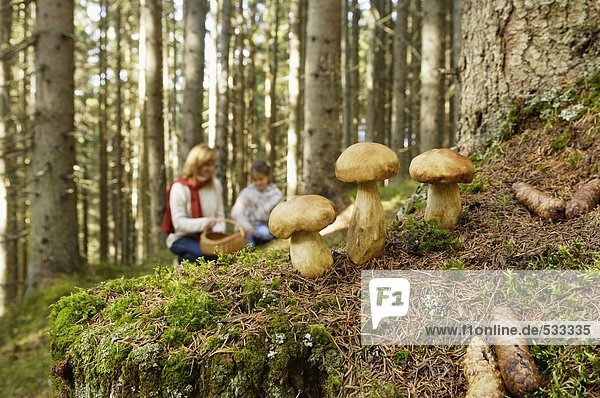 Mutter und Tochter suchen Pilze im Wald