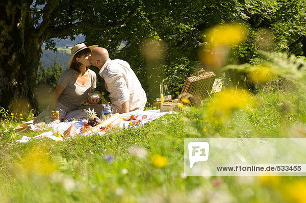 Pärchen beim Picknick auf der Wiese,  Küssen