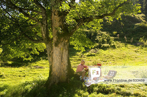 Couple having picnic in meadow  man feeding woman