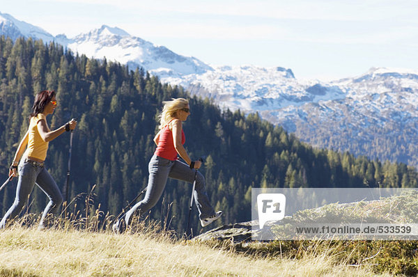 Two women in mountain  Nordic walking