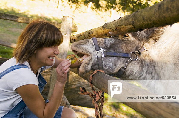 Frau füttert Pony