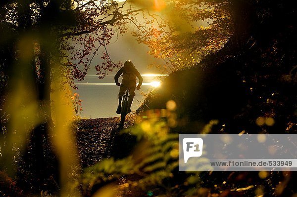 Young man mountain biking in forest