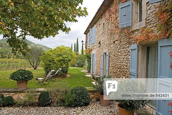 Topfpflanze Hotel  La Bastide De Marie  Menerbes  Luberon  Vaucluse  Provence-Alpes-Côte d ' Azur  Frankreich