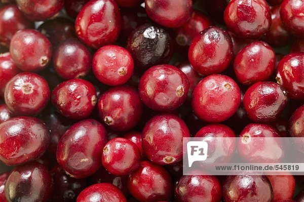Cranberries (bildfüllend)