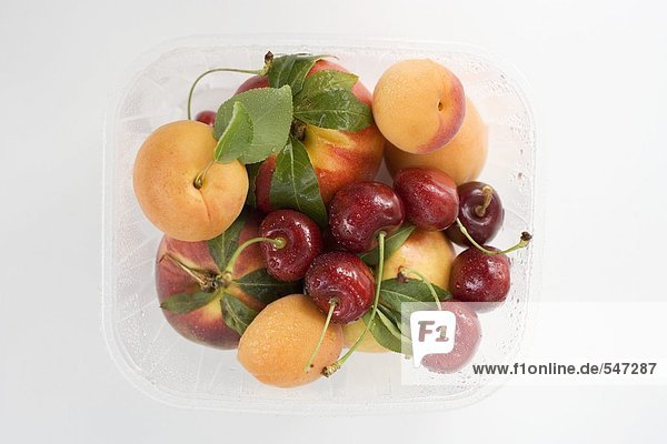 Plastikschale mit Nektarinen  Aprikosen und Kirschen