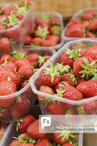 Frische Erdbeeren in Schalen auf dem Markt