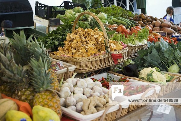 Marktstand mit Früchten  Gemüse  Pilzen und Kräutern