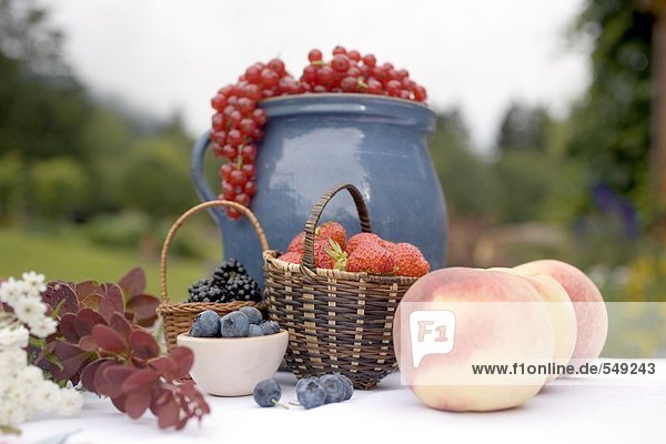Sommerliches Obststilleben auf Tisch im Garten