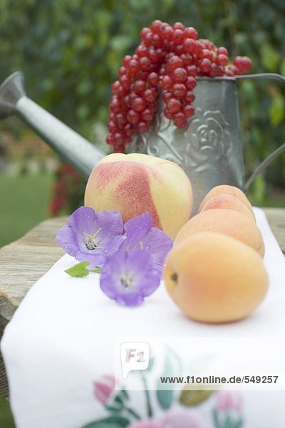 Aprikosen  Pfirsich  rote Johannisbeeren auf Tisch im Freien