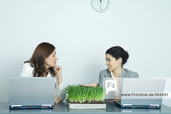 Two businesswomen sitting at laptops  one touching tray of wheatgrass