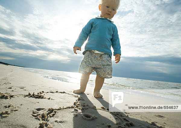 Kleinkind am Strand stehend  Blickwinkel niedrig
