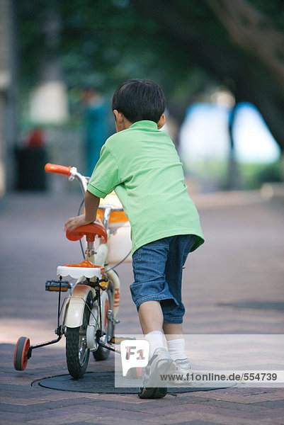 Boy walking with bicycle with training wheels  rear view