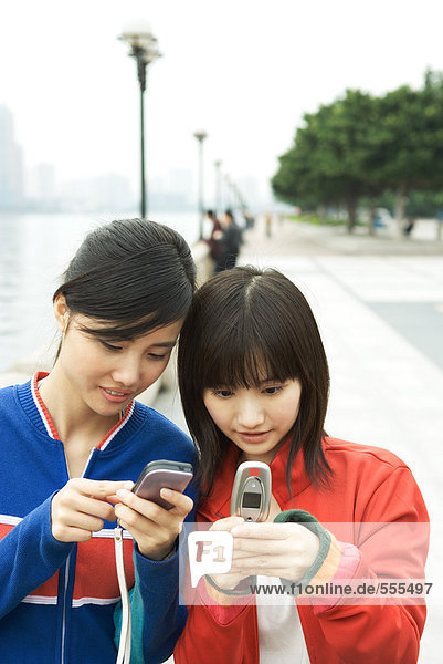 Zwei junge Frauen  die Mobiltelefone benutzen