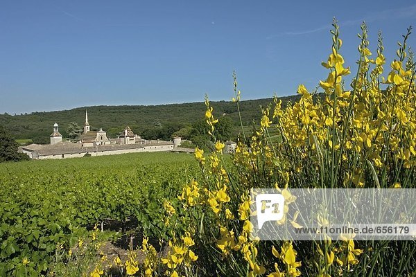 Kloster umgeben von Feldern  Chartreuse De La Valbonne  Provence-Alpes-Côte d ' Azur  Frankreich