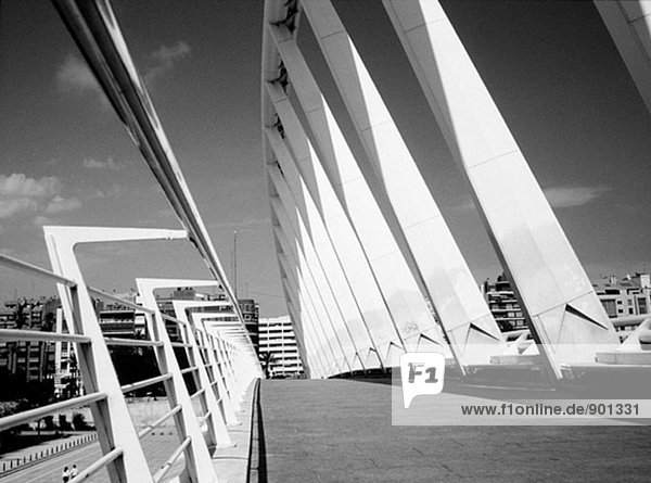 Brücke von Santiago Calatrava. Valencia. Spanien