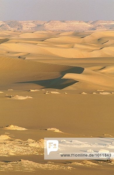 Great Sand Meer  Lybische Wüste  zur Oase Siwa. Ägypten