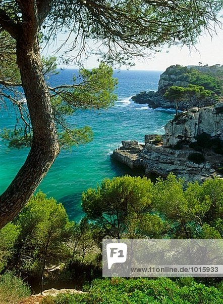 Küste in S´Almonia. Mallorca. Balearen. Spanien.