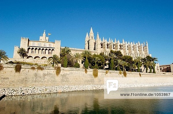 Kathedrale und Almudaina Palastes. Palma De Mallorca. Mallorca  Balearen. Spanien