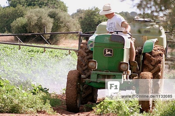 Landwirt Sprühen grüne Bohnen Kulturen mit einem Traktor. Tarragona Provinz  Katalonien  Spanien