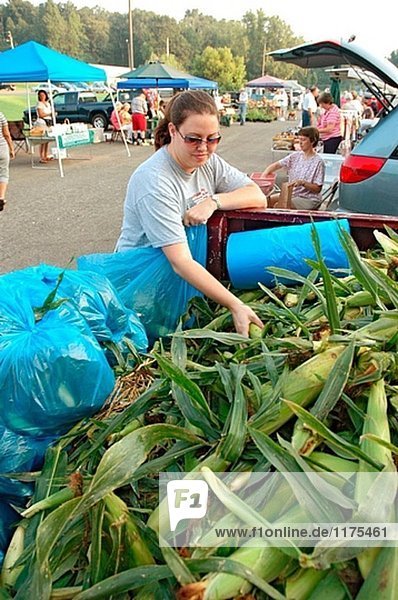Corn being sold at farmers market in small town to public from the growers