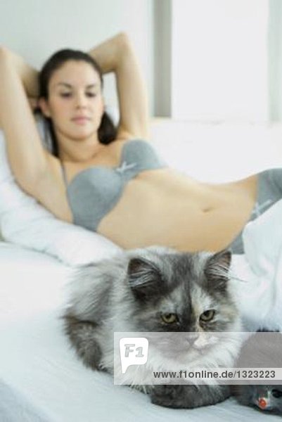 Young woman lying in bed in underwear  cat in foreground