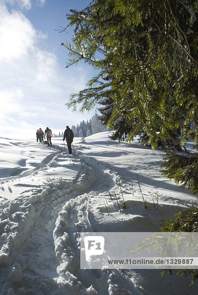 Germany  Bavaria  people cross-country skiing in winter landscape  rear view