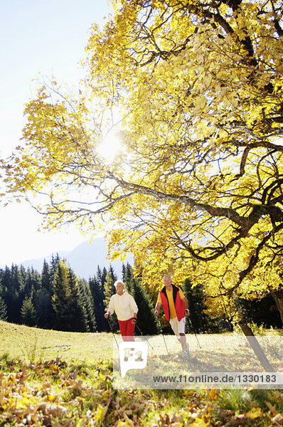 Senior couple Nordic walking outdoors