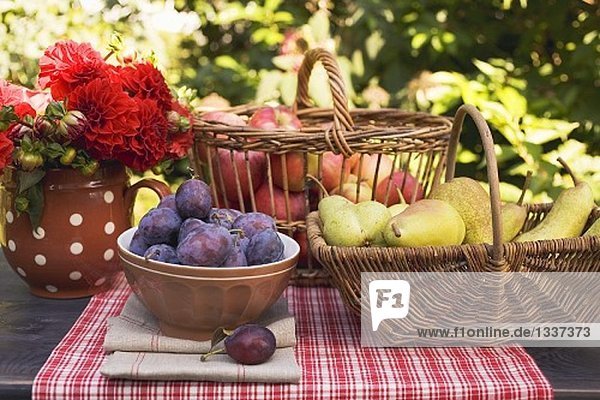 Pflaumen in Schale  Birnen und Äpfel im Korb auf Gartentisch