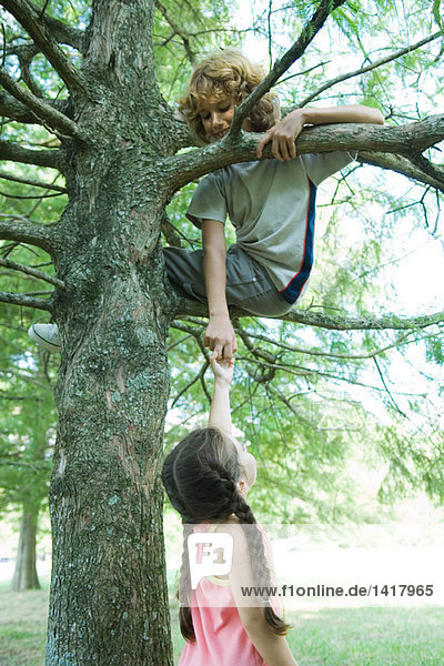 Junge sitzt im Baum und greift nach unten  um die Hand des Mädchens zu halten.
