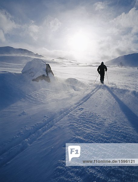 Skilangläufer in Winterlandschaft.